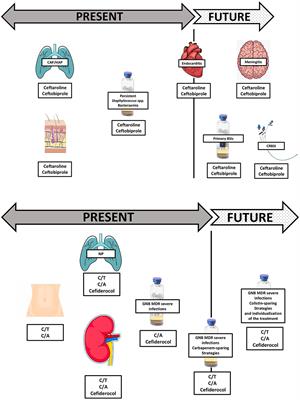 Novel Cephalosporins in Septic Subjects and Severe Infections: Present Findings and Future Perspective